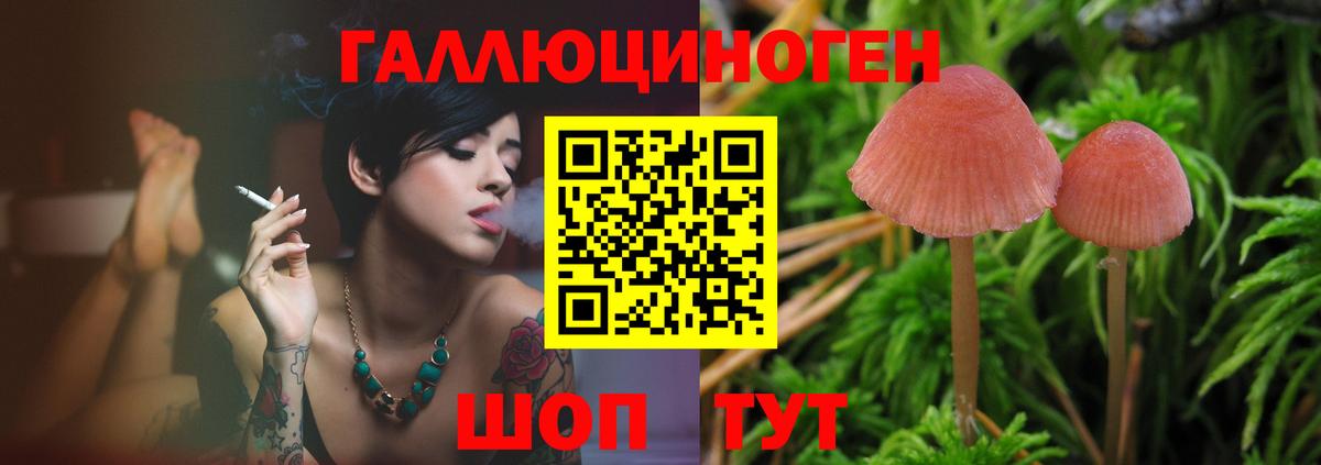 Галлюциногенные грибы Magic Shrooms  Псилоцибиновые грибы ЛСД  Лысьва  Вход с VPN 